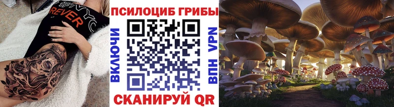 Купить где  Омск  Галлюциногенные грибы прущие грибы 