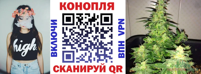 Купить  Омск  Каннабис OG Kush 